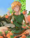  2boys blue_sky butterfly_sitting clenched_teeth commentary earrings finger_heart food fruit green_tunic happy holding holding_food holding_fruit jewelry link male_focus multiple_boys rain_rkgk sitting sky smile solo teeth the_legend_of_zelda the_legend_of_zelda:_breath_of_the_wild the_legend_of_zelda:_tears_of_the_kingdom tunic wolf_link 