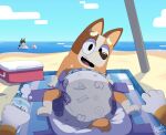 2025 abuniverse anthro australian_cattle_dog baby_powder bandit_heeler beach blue_body blue_fur bluey_(series) brown_body brown_fur canid canine canis cattledog chilli_heeler cloud cooler cushies diaper domestic_dog female first_person_view fur goodyoshy herding_dog hi_res layering_diaper male mammal open_mouth orange_body orange_fur pastoral_dog sand sea shadow tan_body tan_fur unclean_diaper water waterlogged_diaper watermark