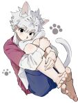  1boy absurdres animal_ears barefoot black_eyes cat_boy cat_ears cat_tail closed_mouth commentary_request feet full_body highres hugging_own_legs hunter_x_hunter killua_zoldyck long_sleeves male_focus red_shirt shirt short_hair shorts solo tail tetego_rkgk white_background white_hair 