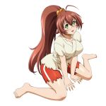  1girl :d antenna_hair barefoot between_legs blush breasts brown_hair collarbone double-parted_bangs full_body game_asset glasses green_eyes hair_bobbles hair_ornament hand_between_own_legs high_ponytail ikkitousen ikkitousen_extra_burst japanese_clothes kimono large_breasts long_hair looking_at_viewer non-web_source official_art open_mouth ponytail red_shorts ryuubi_gentoku_(ikkitousen) self-datamine short_sleeves shorts simple_background sitting smile solo torn_clothes torn_kimono torn_shorts torn_sleeves transparent_background variant_set very_long_hair wariza white_kimono 