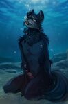 air_bubble anthro aorumi aquaphilia black_body black_fur bodily_fluids countershade_fur countershading cum cum_in_water dillon_(darkpyre19) erection eye_roll fangs fully_submerged fur genital_fluids genitals glans hi_res kneeling looking_pleasured male mammal neck_tuft nude open_mouth penis pink_penis sea seabed solo teeth tuft underwater water yellow_eyes