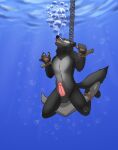 air_bubble anchor ankles_tied anthro aquaphilia asphyxiation balls black_balls black_body black_fur bound chain countershade_fur countershading digitigrade drowning erection fully_submerged fur genitals glans hands_tied hi_res ladyheather looking_up male mammal multicolored_face neck_tuft open_mouth penis peril pink_penis sinking solo tail tied_to_anchor tuft underwater water yellow_eyes
