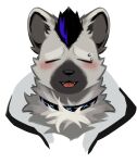 2026 absurd_res anthro apizbau arknights black_hair black_nose blue_hair clothed clothing collar eyebrow_piercing eyes_closed facial_piercing fur grey_body grey_fur hair hi_res hyena hypergryph male mammal multicolored_hair piercing pizbhao solo spot_(arknights) spotted_hyena studio_montagne teeth tongue tuft two_tone_hair