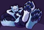 anthro blue_body blue_fur claws constellation constellation_markings ears_up eyes_closed eyewear feet felid feline foot_focus fur glasses hair hands_behind_head hi_res male mammal markings nebula pawpads paws purple_background short_hair simple_background sitting solo star_(marking) tongue tongue_out vulpixxeon wearing_glasses white_body white_fur white_hair