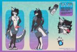 absurd_res anthro blue_markings breasts brown_body brown_fur canid canine canis erection female fur genitals grey_body grey_fur hi_res jewelry knot knotted_penis mammal markings necklace nude penis reference_image solo trans_(lore) trans_woman_(lore) venmist wolf