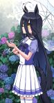  1girl ahoge animal_ears black_hair blush bow bowtie breasts commentary ear_tag earrings flower hair_between_eyes highres holding holding_umbrella horse_ears horse_girl horse_tail jewelry kuronosu_(yamada1230) long_bangs long_hair long_hair_between_eyes looking_up manhattan_cafe_(umamusume) multicolored_hair pleated_skirt puffy_short_sleeves puffy_sleeves purple_bow purple_bowtie purple_shirt sailor_collar sailor_shirt school_uniform shirt short_sleeves single_earring skirt small_breasts solo summer_uniform tail thighhighs tracen_school_uniform umamusume umbrella white_hair white_sailor_collar white_skirt white_thighhighs yellow_eyes 