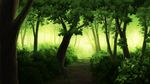  forest green nature no_humans original path road scenery tree 