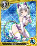  animal_ears artist_request breasts card_(medium) cat_ears cat_hair_ornament cat_tail character_name chess_piece cleavage detached_sleeves flat_chest gloves hair_ornament high_school_dxd looking_at_viewer official_art rook_(chess) short_hair silver_hair solo tail thighhighs toujou_koneko trading_card white_legwear yellow_eyes 