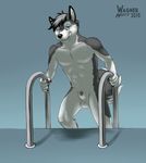  animal_genitalia anthro balls blue_eyes canine canine_penis dog front_view grin half-closed_eyes husky ladder looking_at_viewer male mammal nude penis penis_tip sheath smile solo swimming_pool wagnermutt 