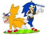  2_tails big_the_cat bouncing_breasts box breasts canine cat clothing crossgender feline footwear fox gloves hedgehog jogging mammal matthew_the_mouse miles_prower multiple_tails shoes simple_background sonic_(series) sonic_the_hedgehog 