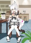  2girls absurdres ahoge animal_ear_fluff animal_ears apron black_dress blue_eyes bow cafe cake cat_ears cat_tail chair commentary_request dress egg_vibrator food frilled_apron frills heterochromia highres holding holding_food indoors long_hair maid mizhi_shuaibi_yy multiple_girls orange_eyes original plate puffy_short_sleeves puffy_sleeves sandals sex_toy short_sleeves sitting tail thighhighs vibrator white_apron white_hair white_thighhighs wrist_cuffs 