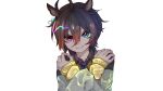  1girl agnes_tachyon_(tach-nology)_(umamusume) agnes_tachyon_(umamusume) ahoge animal_ears black_necktie black_shirt blue_eyes brown_hair closed_mouth collared_shirt commentary_request crossed_arms hair_between_eyes hands_on_own_shoulders heterochromia highres horse_ears horse_girl long_bangs long_sleeves looking_at_viewer necktie red_eyes shirt short_hair simple_background smile solo sweater transparent_background u4r1a3 umamusume upper_body white_background yellow_sweater 