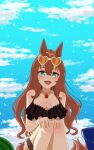  1girl absurdres animal_ears bare_shoulders bikini black_bikini blue_eyes blue_sky blush breasts brown-tinted_eyewear brown_hair bucket chain cleavage cloud eyewear_on_head food fruit gold_chain hair_between_eyes heart heart-shaped_eyewear highres horse_ears horse_girl horse_tail jewelry knees_up large_breasts lina_putri long_hair looking_at_viewer maruzensky_(hot_summer_night)_(umamusume) maruzensky_(umamusume) necklace official_alternate_costume open_mouth orange-tinted_eyewear ruffle_bikini sitting sky smile solo sunglasses swimsuit tail tinted_eyewear umamusume watermelon white-framed_eyewear 