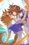  2girls absurdres agnes_tachyon_(umamusume) ahoge animal_ears blush bow bowtie braid breasts brown_hair calamity_brezze clenched_teeth earrings hair_between_eyes hair_ornament hairclip half_up_half_down_braid hand_on_another's_shoulder highres holding_hands horse_ears horse_girl horse_tail jewelry jungle_pocket_(umamusume) looking_at_another medium_hair multiple_girls notched_ear open_mouth pleated_skirt puffy_short_sleeves puffy_sleeves purple_bow purple_bowtie purple_shirt red_eyes sailor_collar sailor_shirt school_uniform shirt short_sleeves single_earring skirt smile tail teeth tracen_school_uniform umamusume white_sailor_collar white_skirt yellow_eyes 