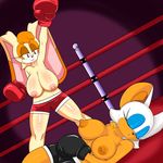  absurd_res anthro big_breasts boxing breasts clothed clothing dreamcastzx1 half-dressed hi_res huge_breasts rouge_the_bat sonic_(series) sport topless vanilla_the_rabbit video_games 