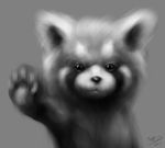  acru_jovian ambiguous_gender clip_studio digital_media_(artwork) fluffy fur grey_background greyscale mammal monochrome paws red_panda simple_background solo 