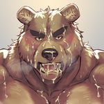  bear cum looking_at_viewer male male/male mammal muscular nude oak orchish_(pixiv) orgasm simple_background solo white_background 
