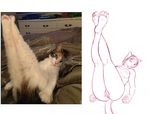  anthro anus bed breasts butt cat feline female feral humor legs_up looking_at_viewer mammal nude paintchaser paws photo pink_nose presenting presenting_pussy pussy real simple_background sketch solo 