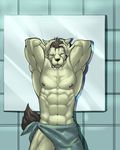  abs absurd_res amber_eyes anthro bathroom biceps big_muscles black_nipples black_nose brown_hair canine clothed clothing dog front_view fur grey_fur hair half-dressed hand_on_head hi_res husky_(artist) looking_at_viewer male mammal muscular navel nipples one_eye_closed pecs solo standing sweat topless towel vein white_sclera wink 