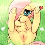 &lt;3 2015 anus butt cute equine female feral fluttershy_(mlp) friendship_is_magic fur grass hair hooves looking_at_viewer lumineko lying mammal my_little_pony on_back pegasus pink_hair pussy solo spread_legs spreading wings yellow_fur young 