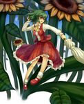  ascot blue_door closed_umbrella cloud flower flying green_hair kazami_yuuka mary_janes overgrown parasol pigeon-toed plaid plaid_skirt plaid_vest red_eyes shoes short_hair skirt skirt_set solo sunflower touhou umbrella vest 