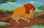  canon_couple disney duo female feral kissing love male male/female nala reallynxgirl simba the_lion_king 
