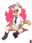  balls blue_eyes cat clothed clothing cub erection feline half-dressed kivwolf legwear male mammal necktie open_mouth penis socks solo uncut young 