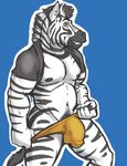  biceps blue_background brown_eyes bulge clamcrusher clothing ear_piercing equine grin looking_at_viewer male mammal muscular navel nipple_piercing nipples penis_outline piercing pose raised_shirt shirt simple_background solo speedo standing swimsuit underwear zebra 