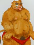  belly boar chubby clothing colored donuts72 looking_at_viewer male mammal porcine pubes simple_background solo speedo swimsuit teasing underwear_aside underwear_pull white_background 