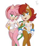  2015 amy_rose anthro areola bedroom_eyes black_nose blue_eyes breasts brown_fur camel_toe chipmunk clothed clothing duo female fur gloves green_eyes hair half-closed_eyes half-dressed hedgehog looking_at_viewer mammal nipples open_mouth panties pink_fur pink_hair presenting red_hair rodent sally_acorn seductive simple_background smile sonic_(series) the_other_half tongue translucent transparent_clothing underwear water wet 