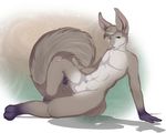  anthro foxxie_softpaws male mammal nautilusta nude penis penis_tip pose rodent sheath solo squirrel 