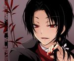  bamboo black_hair earrings jewelry kashuu_kiyomitsu leaf male_focus mayokichi mole mole_under_mouth nail_polish ponytail red_eyes smile solo touken_ranbu upper_body 