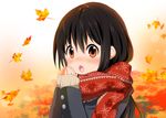  autumn autumn_leaves black_hair blush breath breathing_on_hands brown_eyes coat long_hair long_sleeves md5_mismatch nose_blush original ragho_no_erika scarf solo sweater 