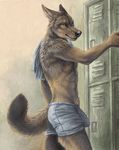  anthro boxers_(clothing) bulge canine clothing jackal locker_room male mammal penis_outline rukis solo underwear 