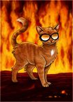  cat feline feral firesoul_(character) male mammal tex_(character) texpelt88_(artist) warrior_cats 