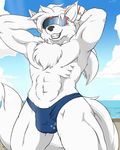  beach bulge canine chest_tuft clothing eyewear fur goggles looking_at_viewer male mammal muscular pose seaside smile sport swimsuit tuft volleyball white_fur wolf zerofox1000 