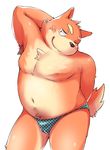  anthro belly blush bulge canine chest_tuft chubby clothing diru11 dog fur kemono male mammal nipples solo sweat swimsuit tuft 