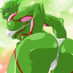  dragon_ball dragon_ball_z female namekian piccolo 