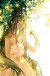  animal bare_arms blue_eyes blue_hair bug butterfly cowboy_shot dress expressionless flower hatsune_miku holding holding_flower insect kinokohime leaf long_hair outdoors simple_background solo standing strapless strapless_dress tree under_tree very_long_hair vocaloid white_background white_dress 