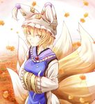  blonde_hair fox_tail hands_in_opposite_sleeves hat leaf long_sleeves multiple_tails outdoors pillow_hat short_hair slit_pupils smile solo tail tamasan tassel touhou wide_sleeves yakumo_ran 