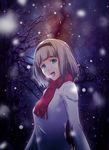  :d anna_nishikinomiya bangs bare_tree blurry bokeh depth_of_field hairband long_sleeves matsuki_miyu night night_sky open_mouth outdoors red_scarf scarf shimoneta_to_iu_gainen_ga_sonzai_shinai_taikutsu_na_sekai shirt short_hair silver_hair sky slowpit smile snow solo star_(sky) starry_sky tree upper_body white_shirt 