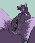  breasts canine fatalixthefox female fingering fur grin homunculus looking_at_viewer mammal mauta_(fatalixthefox) nipples purple_fur pussy solo spreading tongue tongue_out wet zannathedragon 