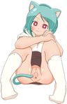  animal_humanoid anus blue_hair cat_humanoid cat_tail censored clothing feline female hair humanoid legwear looking_at_viewer mammal nicole_watterson pussy red_eyes socks solo the_amazing_world_of_gumball tsumayo 