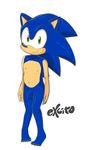  2015 anthro balls excito flaccid hedgehog male mammal nude penis solo sonic_(series) sonic_the_hedgehog uncut 