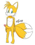  2015 anthro balls canine erection excito fox male mammal miles_prower nude penis solo sonic_(series) uncut 