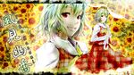  acid-230 ascot character_name field flower flower_field green_hair grin highres kazami_yuuka parasol plaid plaid_skirt plaid_vest red_eyes short_hair skirt skirt_set smile solo sunflower touhou umbrella vest zoom_layer 