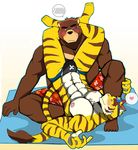  &lt;3 abs bear bearlovestiger13 biceps brown_fur clothing feline fur juuichi_mikazuki male male/male mammal morenatsu muscular muscular_male nipples pecs swimsuit tiger torahiko_(morenatsu) 