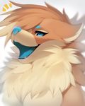  ambiguous_gender blue_eyes canine fangs feral fluffy fur kanel looking_at_viewer mammal open_mouth simple_background smile solo teeth tongue white_background 