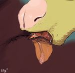  2015 ambiguous_gender brown_fur clitoris close-up cunnilingus female fur green_fur koosh-ball licking oral pussy sex tongue tongue_out vaginal 