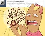  ask-burgerpants burgerpants caps_lock cat clothing dialogue english_text feline hat mammal open_mouth paws shade shirt solo text tumblr undertale video_games yelling 